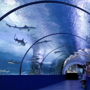 2 Entradas Acuario de Osaka